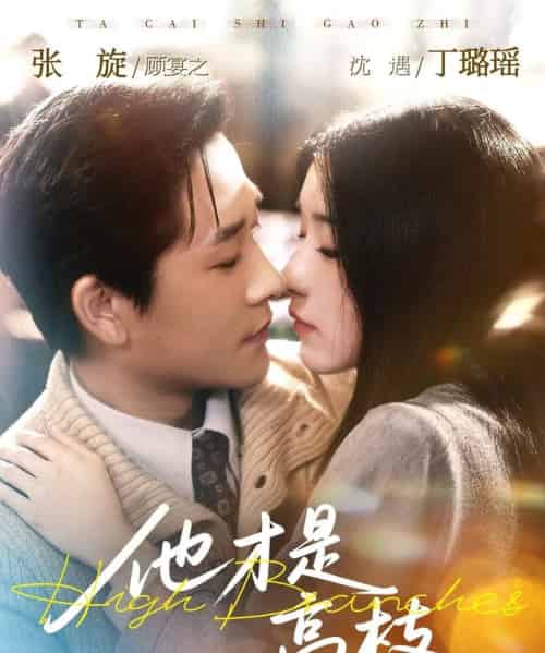 他才是高枝（77集全）张旋＆丁璐瑶-海之城短剧项目
