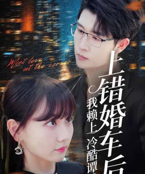 上错婚车后我赖上冷酷谭爷（59集）王裕博＆韩忠羽-海之城短剧项目