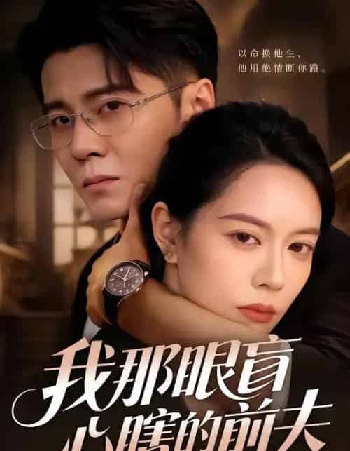 我那眼盲心瞎的前夫（61集全）刘君尧＆李曼-海之城短剧项目