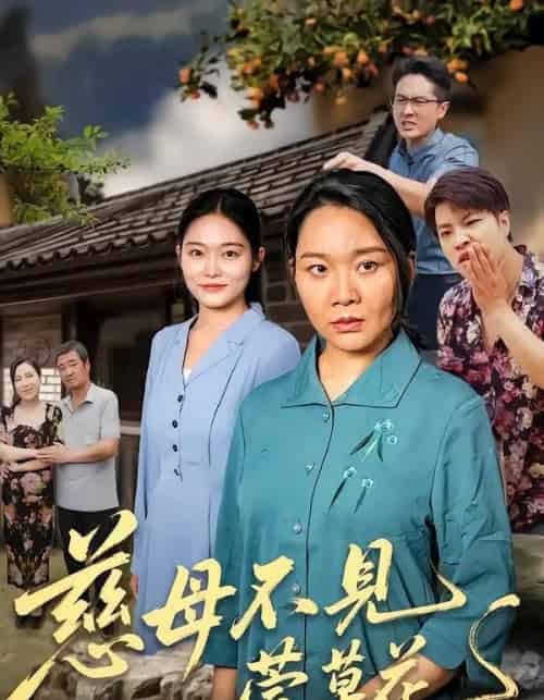 慈母不见萱草花（44集全）刘乃强＆李偌菡-海之城短剧项目