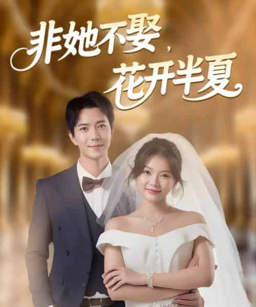 非她不娶，花开半夏（63集全）傅汉源＆林籽蓉-海之城短剧项目