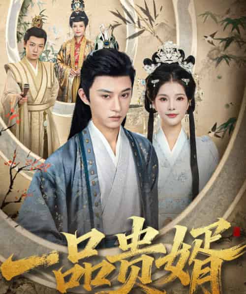 一品贵婿（80集全）孙景琛＆万羽沫-海之城短剧项目
