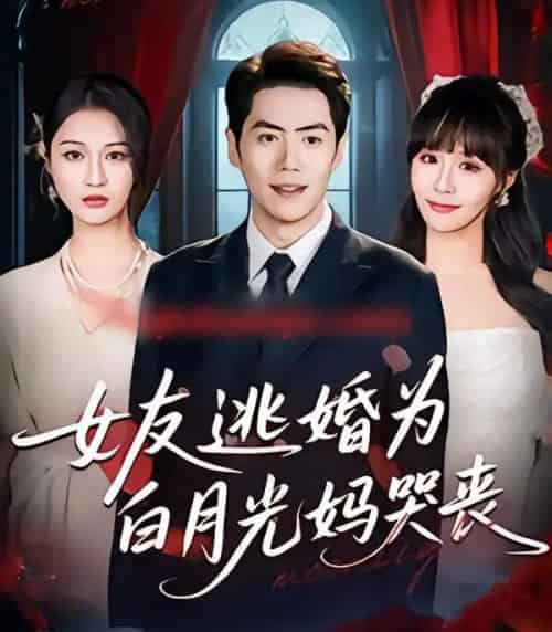 女友逃婚为白月光妈哭丧（59集全）刘嘉文＆王茉晗-海之城短剧项目