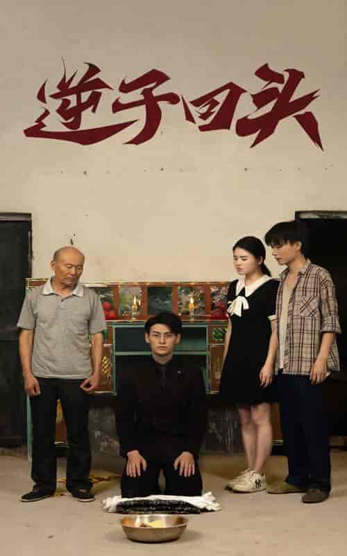 逆子回头（33集） - 海之城短剧