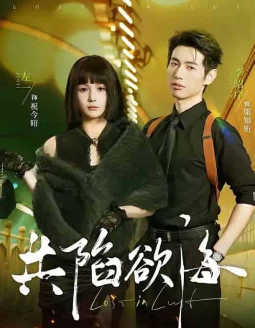 共陷欲海（66集全）李昭序＆左一-海之城短剧项目