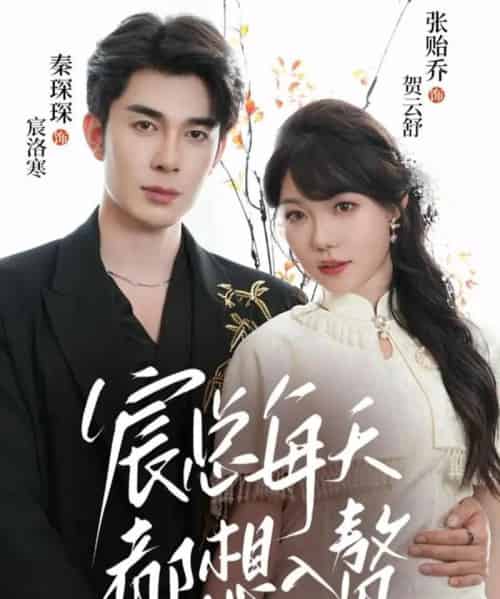 宸总每天都想入赘（65集全）秦琛琛＆张贻乔-海之城短剧项目