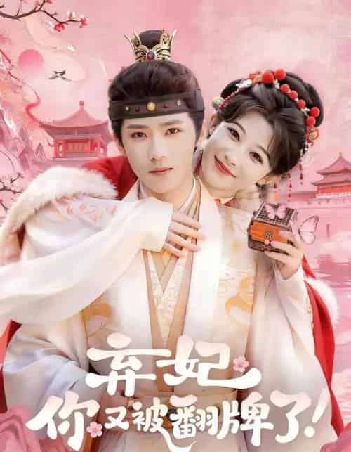 弃妃，你又被翻牌了（64集全）郭芷铭＆孙妍恩-海之城短剧项目