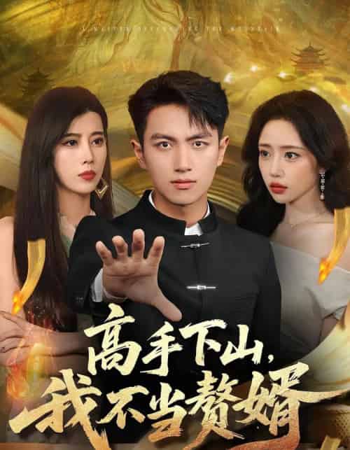 高手下山我不当赘婿（66集全）苏凝＆鲜嘉臣 - 海之城短剧