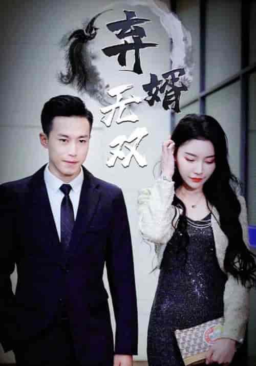 弃婿无双（95集全）楚枫＆上官婉儿 - 海之城短剧