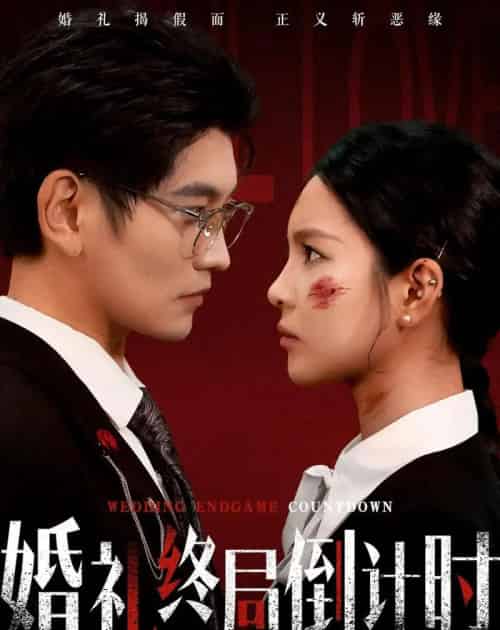 婚礼终局倒计时（60集全）宸天＆余卓阳-海之城短剧项目