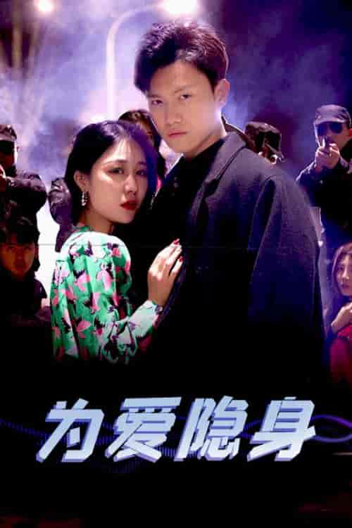 为爱隐身（80集）王宇峰 - 海之城短剧