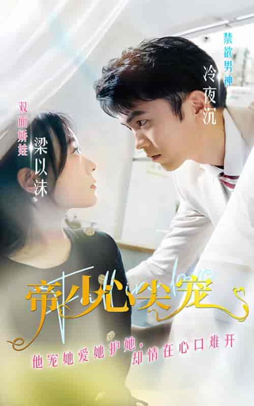 帝少心尖宠（90集） - 海之城短剧