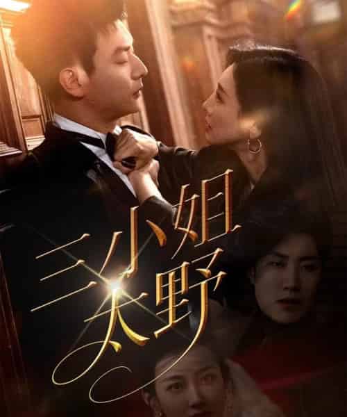 三小姐太野（61集）贾琳＆杨建壮-海之城短剧项目