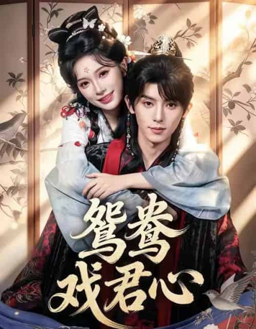 鸳鸯戏君心（60集全）宋益凡＆金雅娜-海之城短剧项目