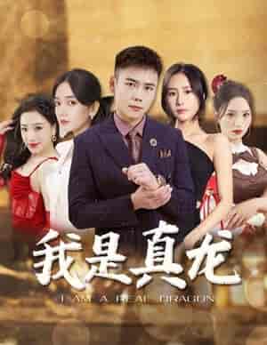 我是真龙＆身份曝光后，丈母娘悔疯了（79集）彭小芳 - 海之城短剧