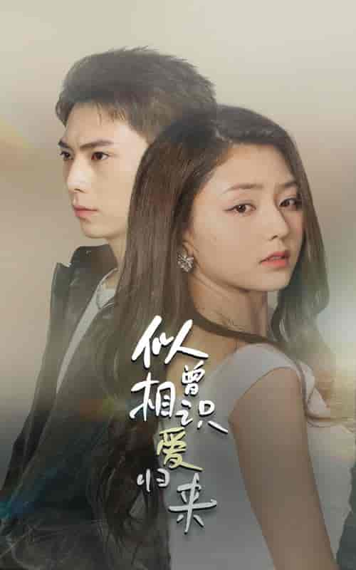 似曾相识爱归来（77集） - 海之城短剧