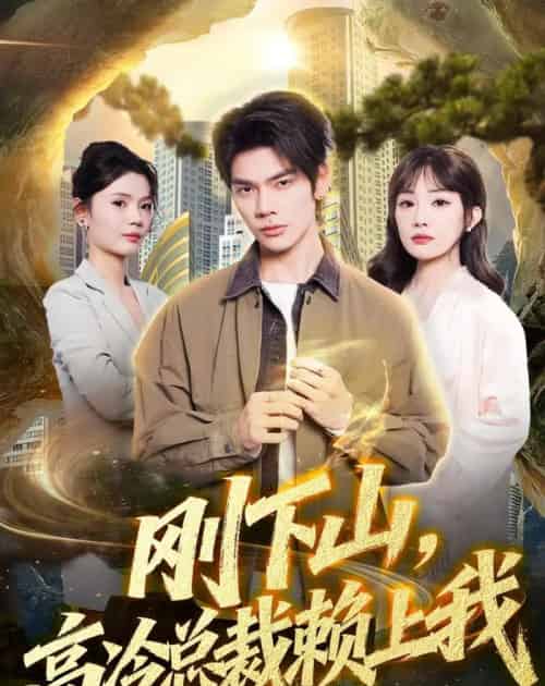 刚下山，高冷总裁赖上我（68集全）启航＆梁馨＆任佳仪-海之城短剧项目
