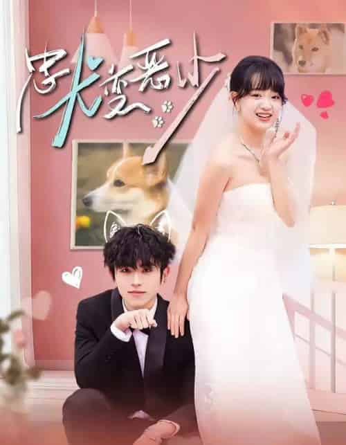 惊！我家来福变恶少了＆忠犬变恶少（80集全）曹竣柯＆赵影-海之城短剧项目