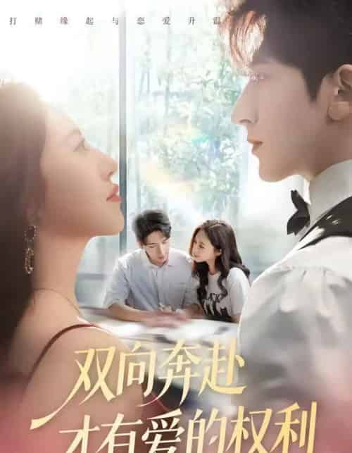 双向奔赴才有爱的权利（80集全）六一＆斯坎-海之城短剧项目