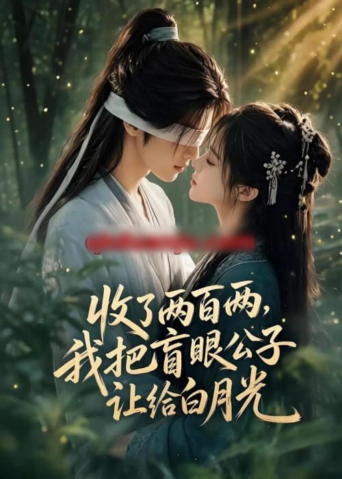收了两百两，我把盲眼公子让给白月光（55集全）AI短剧-海之城短剧项目