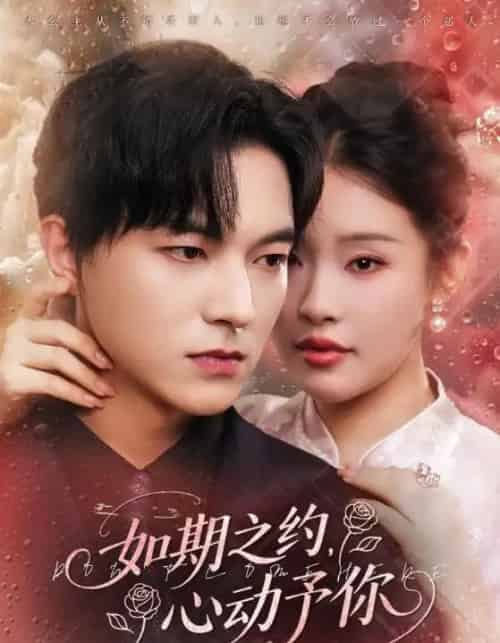 如期之约心动予你（82集全）权睿＆魏天浩-海之城短剧项目