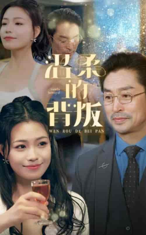温柔的背叛（47集全）擦边剧 - 海之城短剧
