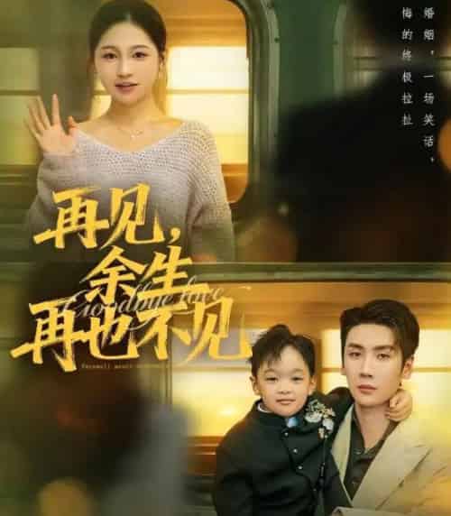 再见，余生再也不见＆再见余生再也不见（89集全）刘博洋＆崔秀子-海之城短剧项目