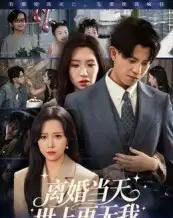 离婚当天世上再无我（60集全）董劭辉 - 海之城短剧