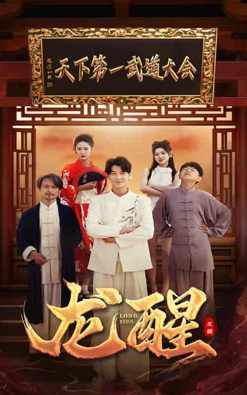 龙醒（72集） - 海之城短剧