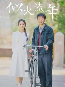 似火流年（100集） - 海之城短剧