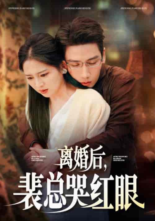 离婚后，裴总哭红眼（79集全）裴辰＆江欣 - 海之城短剧