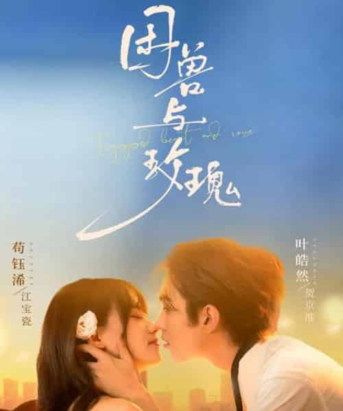 困兽与玫瑰（90集全）叶皓然＆苟钰浠-海之城短剧项目