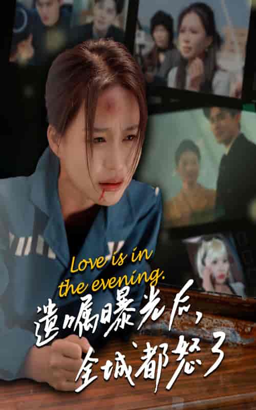 遗嘱曝光后，全城都怒了（36集全） - 海之城短剧