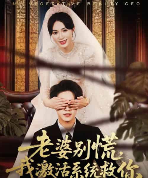 老婆别慌，我激活系统救你（80集全）孙航＆柯珂-海之城短剧项目