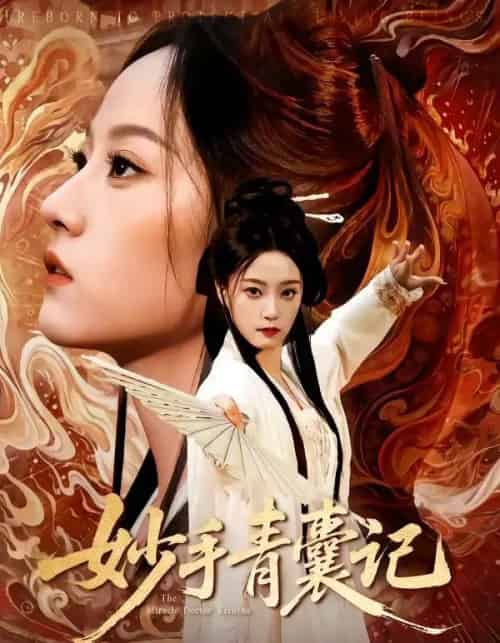 妙手青囊记（61集全）李铭＆林动动-海之城短剧项目