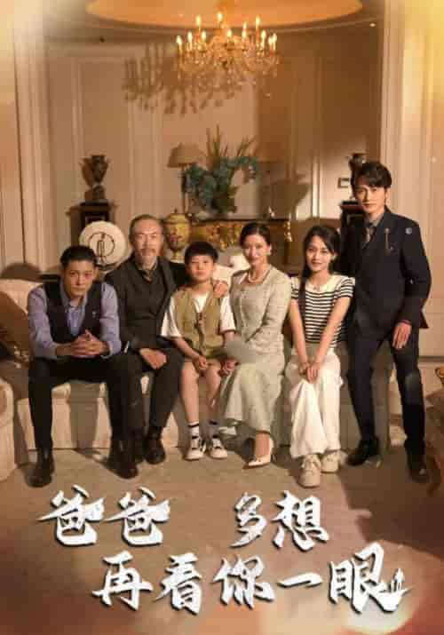 爸爸多想再看你一眼（73集全）林元纬＆魏莱 - 海之城短剧