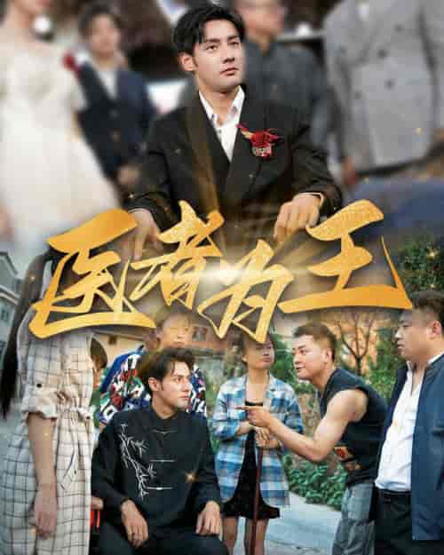 医者为王（38集全） - 海之城短剧