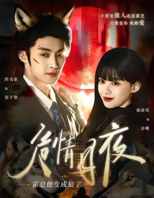 危情月夜：霍总他变成狼了（70集全）陈名豪＆康渝茜-海之城短剧项目