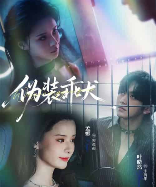 伪装乖犬（56集全）叶皓然＆孟娜-海之城短剧项目