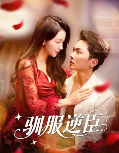 驯服逆臣（80集全）黄圣桀＆张婉悦-海之城短剧项目