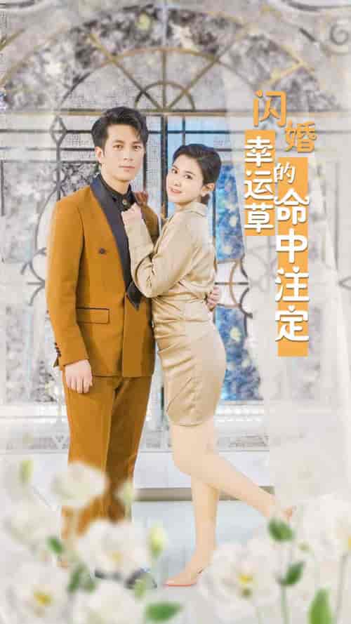 闪婚幸运草的命中注定 闪婚幸运草的命中注定
