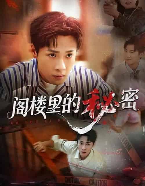 阁楼里的秘密（76集全）黄佳俊＆靳坤＆吴胤皓-海之城短剧项目