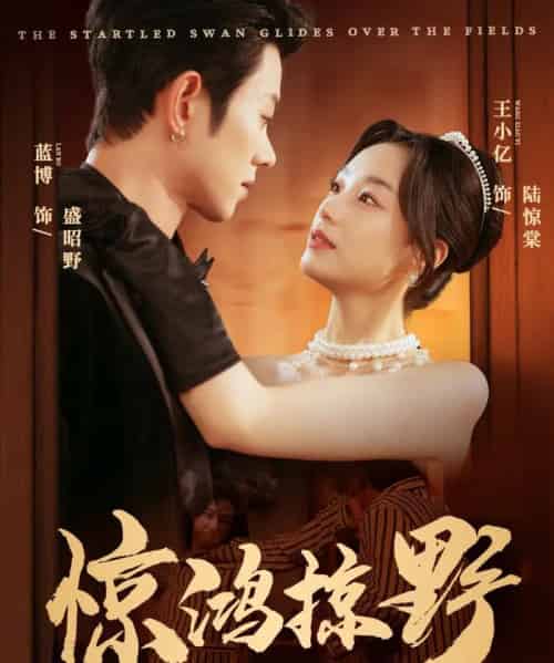 惊鸿掠野（62集全）蓝博＆王小亿-海之城短剧项目