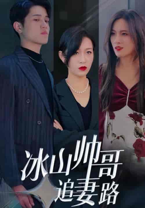 冰山帅哥追妻路（100集全）冷夜＆顾清欢 - 海之城短剧