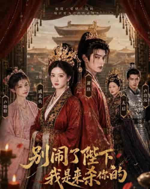 别闹了陛下，我是来杀你的（30集全）AI短剧-海之城短剧项目