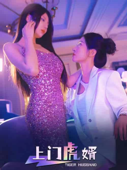 上门虎婿 上门虎婿