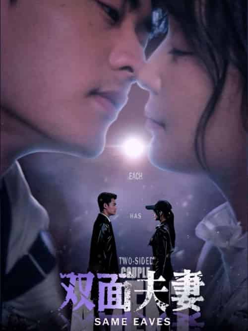 双面夫妻 双面夫妻