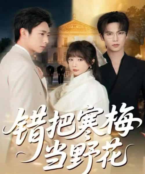 错把寒梅当野花（60集全）于颢鑫＆王籽霖-海之城短剧项目