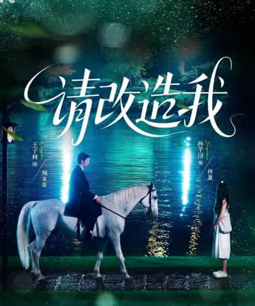 请改造我（63集）王子林＆孙芊浔 - 海之城短剧