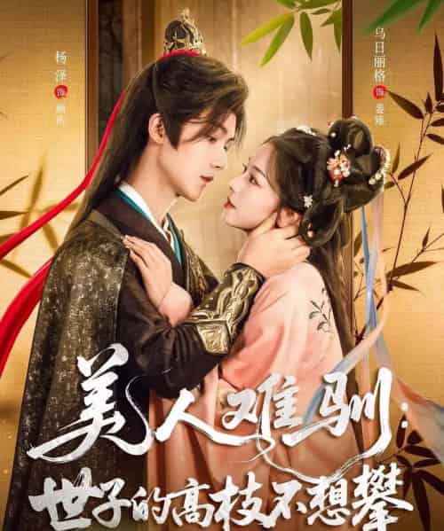 美人难驯世子的高枝不想攀（81集）杨泽＆乌日丽格-海之城短剧项目